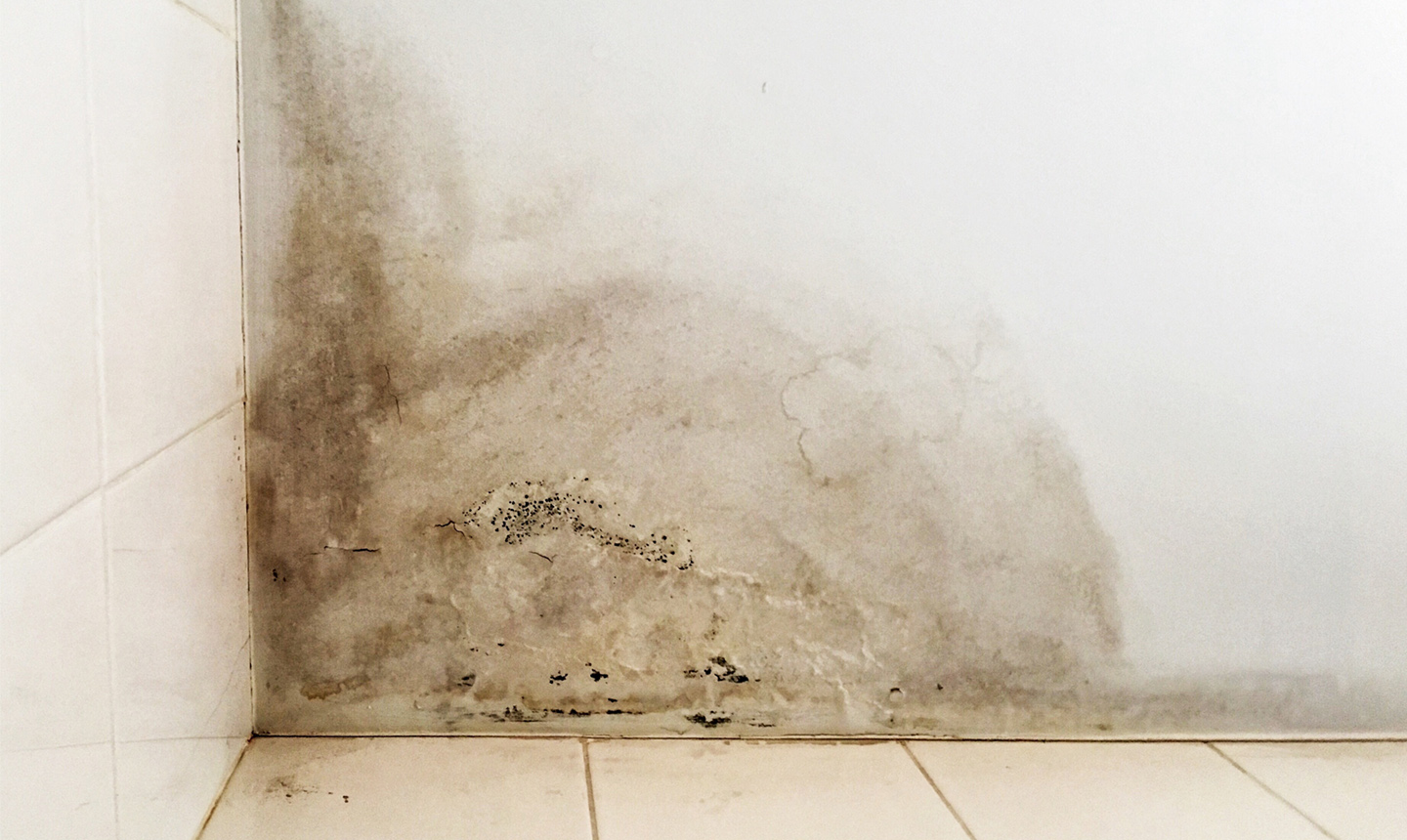 Mould removal using laser cleaning technology